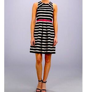VGUC White House Black Market Striped belted dress size 6